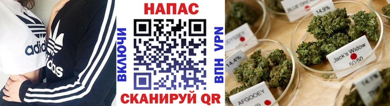 Сколько стоит Питкяранта blacksprut рабочий сайт  Амфетамин  Канабис  Гашиш  Альфа ПВП 